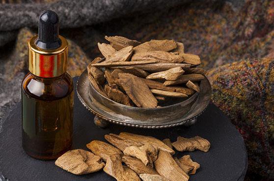 tinh dầu trầm hương Tinh dầu trầm hương có nhiều công dụng với sức khỏe con người
